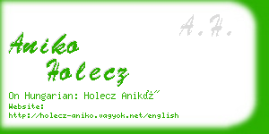 aniko holecz business card